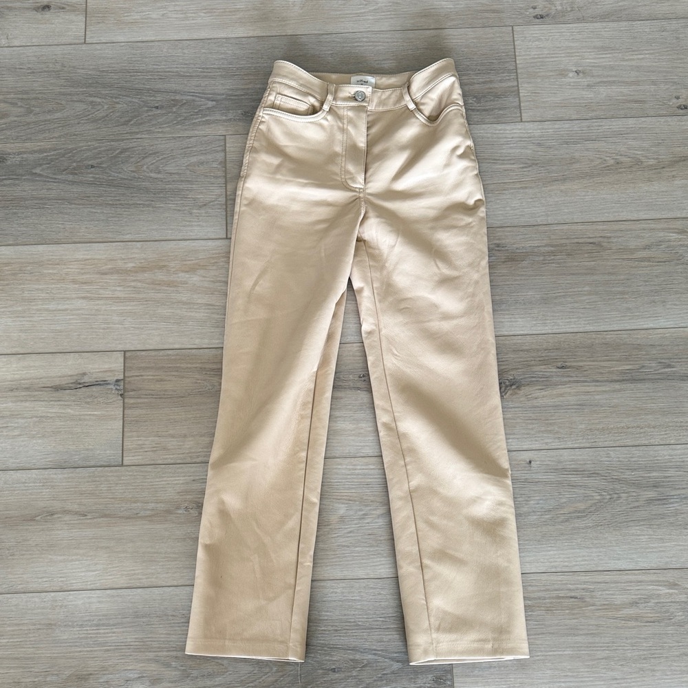 Wilfred (Aritzia) Melina Leather Pants.